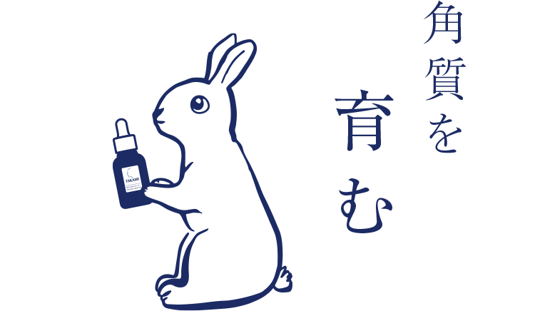 角質を育む