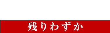 限定セット登場―なくなり次第終了―