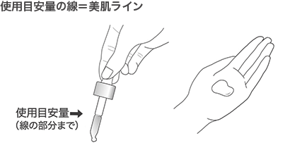 使用目安量（線の部分まで）