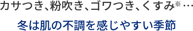カサつき、粉吹き、ゴワつき、くすみ※…冬の肌の不調を感じやすい季節