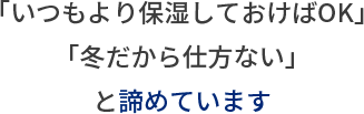 「いつもより保湿しておけばOK」「冬だから仕方ない」と諦めています