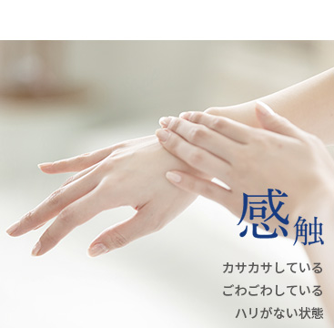 感触／カサカサしている・ごわごわしている・ハリがない状態