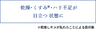 乾燥・くすみ※・ハリ不足が目立つ状態に