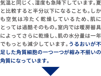 気温と同じく、湿度も急降下しています。夏と比較すると半分以下になることも。しかも空気は冷たく乾燥しているため、肌にとっては過酷そのもの。室内では暖房器具によってさらに乾燥し、肌の水分量は一年でもっとも減少しています。うるおいが不足した角質細胞の一つ一つが縮み不揃いの角質になっています。