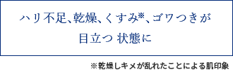 ハリ不足、乾燥、くすみ※ 、ゴワつきが目立つ状態に