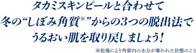 タカミスキンピールと合わせて冬の“しぼみ角質 ”からの3つの脱出法でうるおい肌を取り戻しましょう!