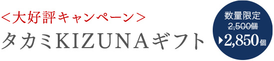 【数量限定2,500組】＜なくなり次第、販売終了＞タカミKIZUNAギフト