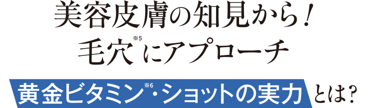 美容皮膚の知見から！毛穴※5にアプローチ 黄金ビタミン※6・ショットの実力とは？