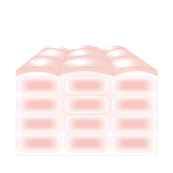 組織図