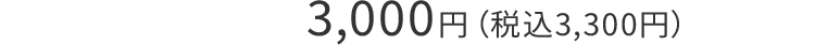 3,000円（税込3,300円）