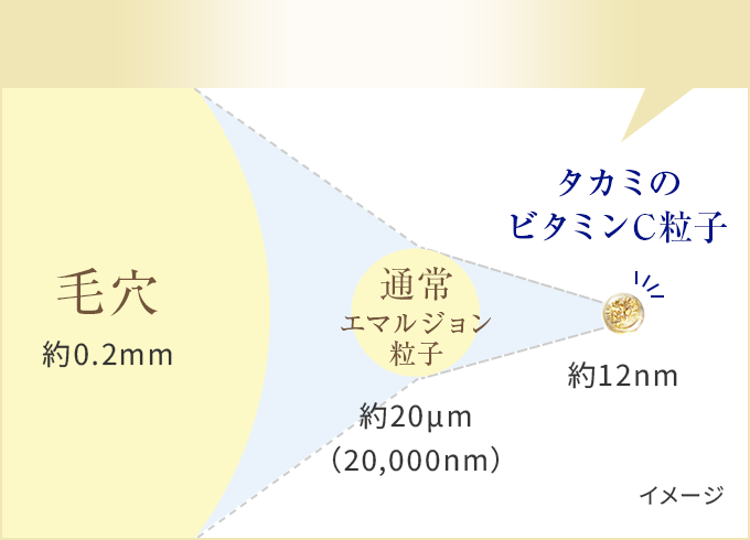 毛穴の1万5000分の1サイズ！