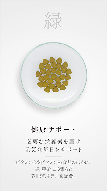 緑　健康サポート