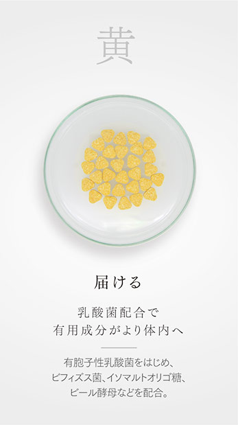 黄　届ける