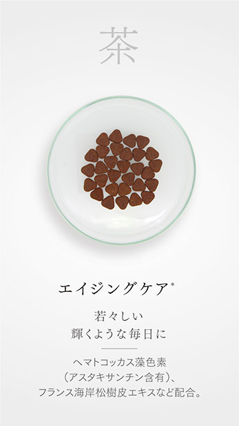 茶　エイジングケア