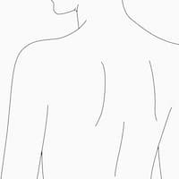 新タカミスキンピールボディ美容皮膚発想4,うなじ・背中ケア