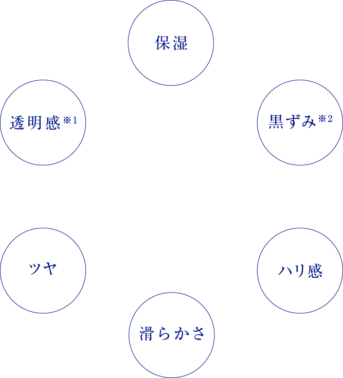保湿 黒ずみ ハリ感 滑らかさ ツヤ 透明感